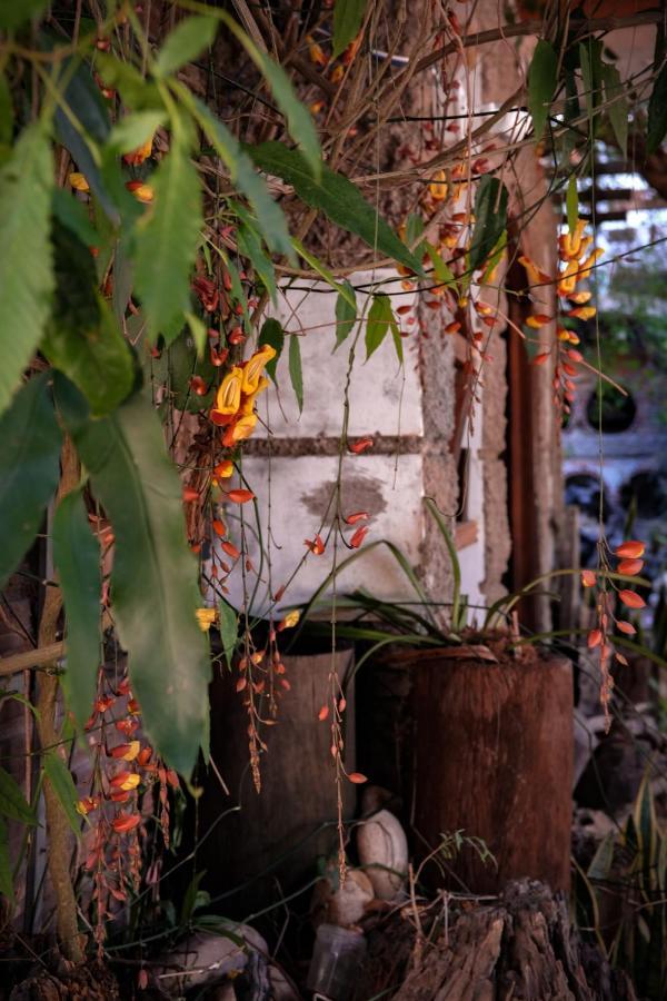 Y.O Inn Kon Tum Exterior foto